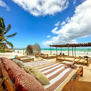book here