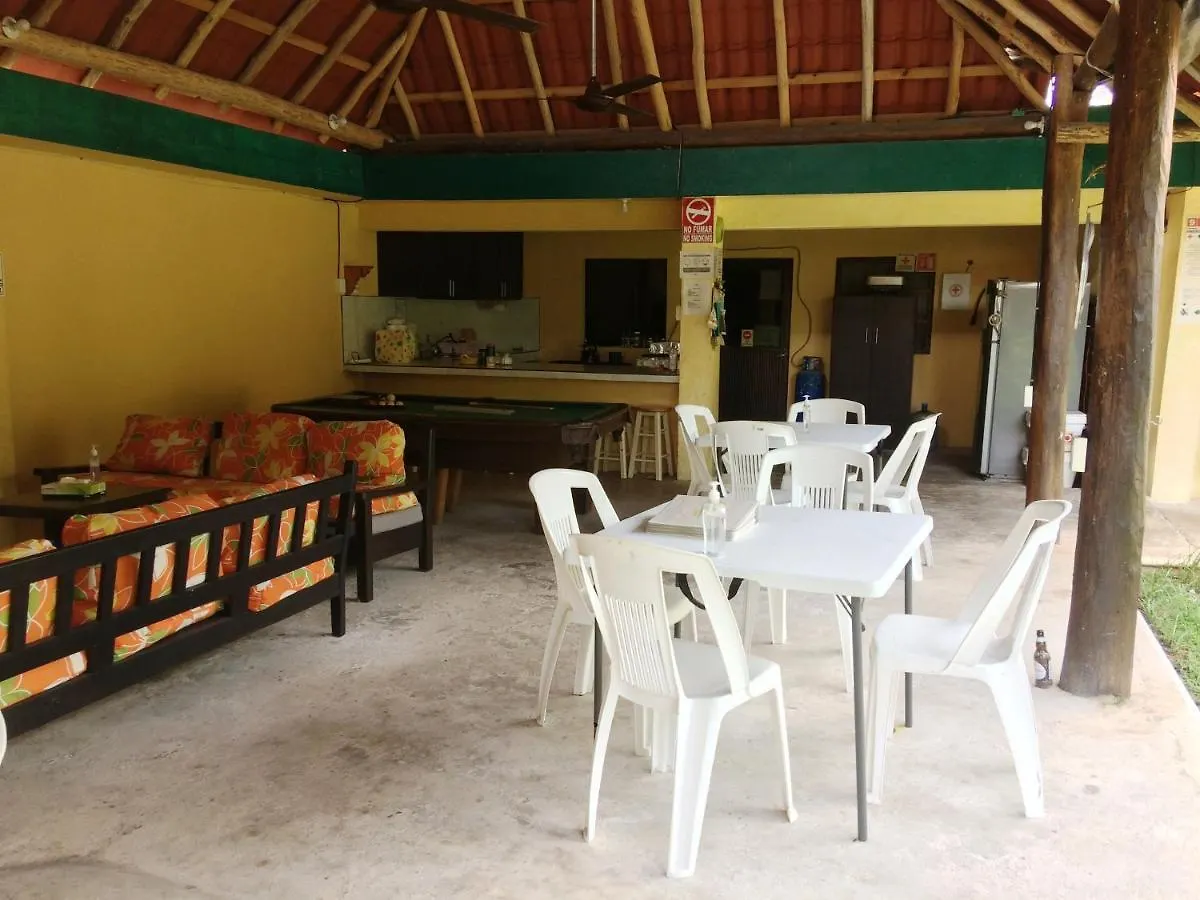 Amigos Hostel Cozumel Mexico