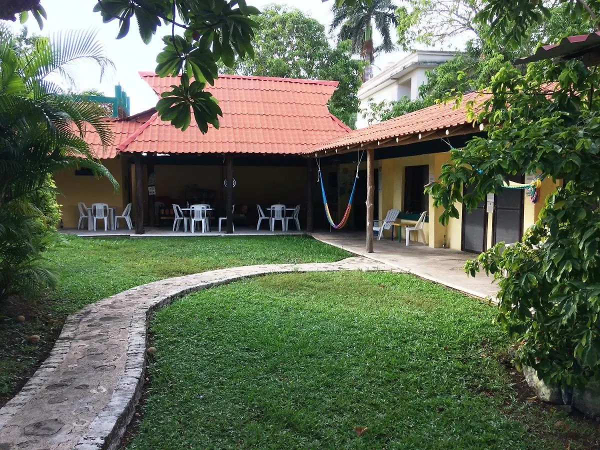 Amigos Hostel Cozumel Mexico