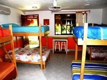 Amigos Hostel Cozumel