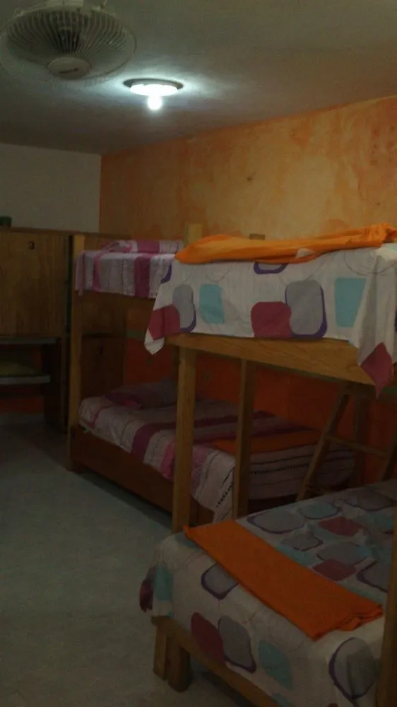 Amigos Hostel Cozumel Mexico