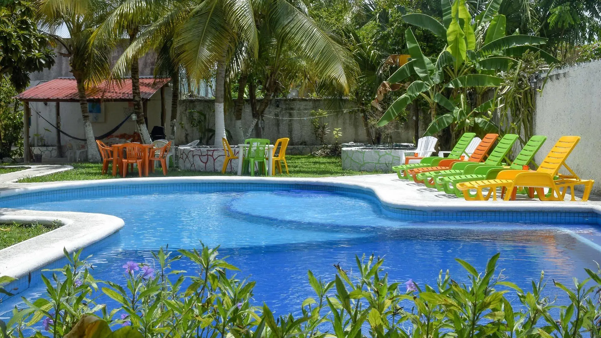 Amigos Hostel Cozumel