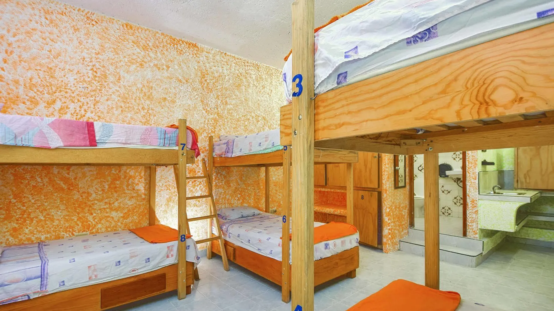 Amigos Hostel Cozumel Mexico