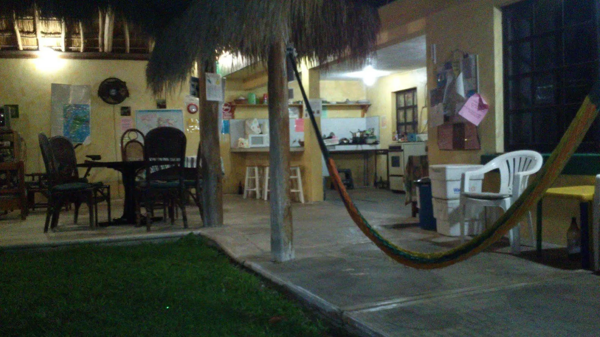 Amigos Hostel Cozumel Mexico